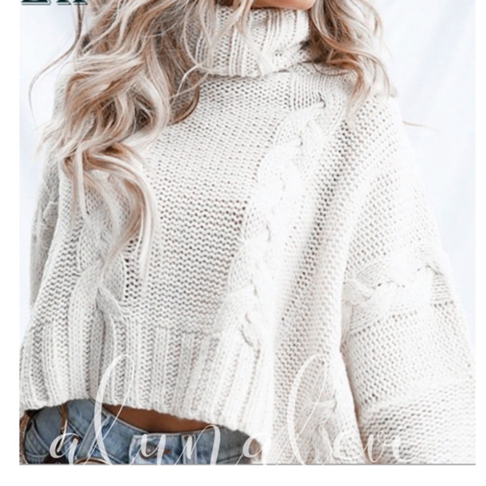 Cozy Cream Chunky Knit Turtleneck Sweater Top - Picture 2 of 4